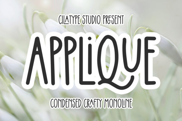 Applique: A Joyful Display Font for Scroll-Stopping Designs