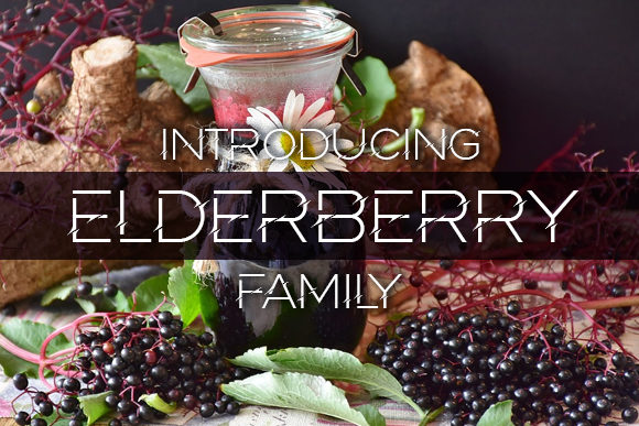 Elderberry: A Display Font for Distinctive Branding Projects